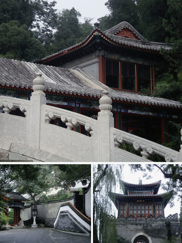 Forbidden Beauty🌸