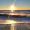 orric_2436