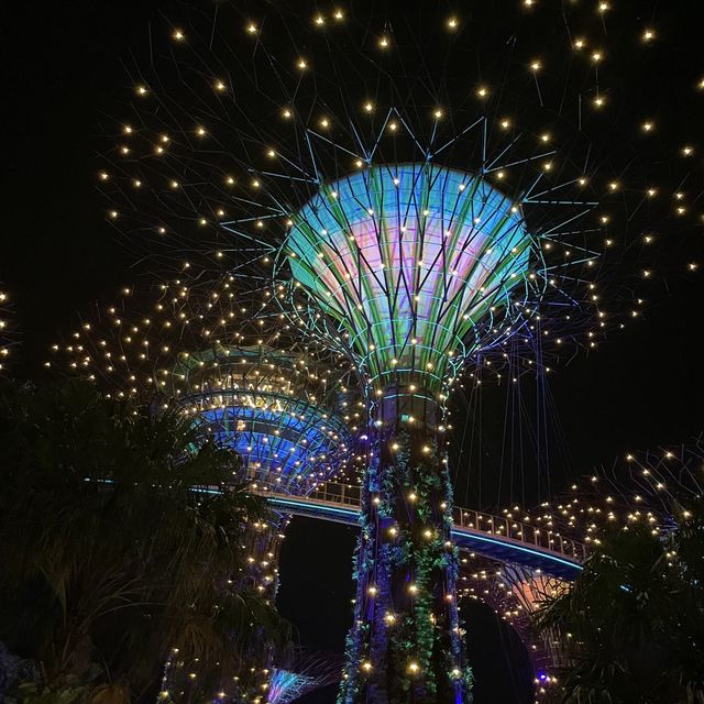 新加坡之旅🇸🇬