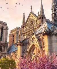 Paris Notre-Dame Cathedral | The Fated Disappearance