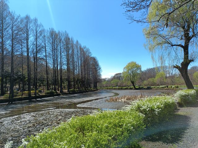 Maruyama Park