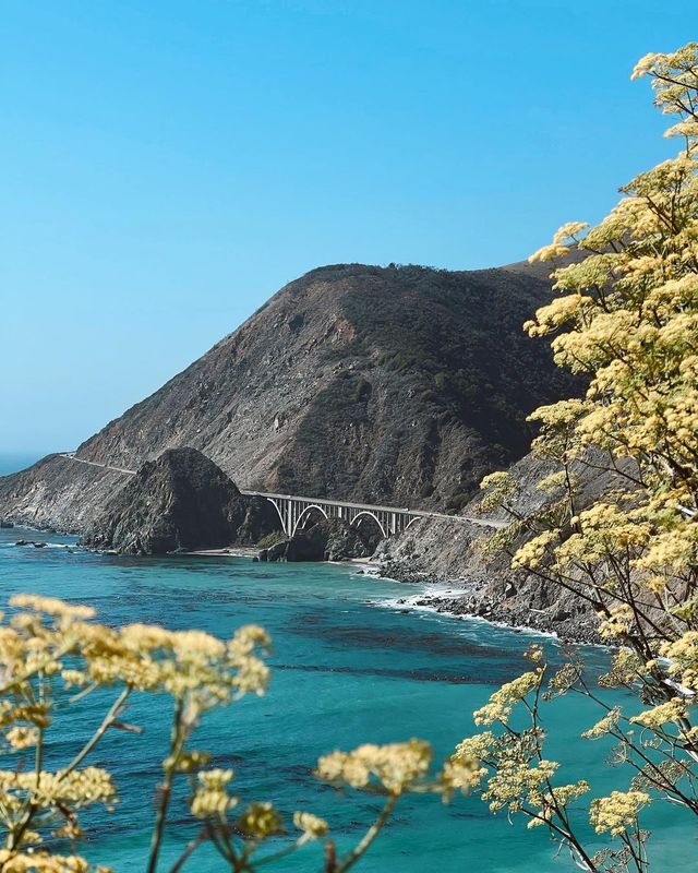 Big Sur Beauty: Unveiling Scenic Highway Treasures