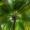 PhotonPirate_012