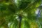 PhotonPirate_012