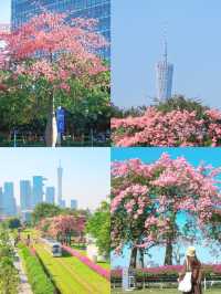 美哭了花2元帶你走進動漫裡的廣州