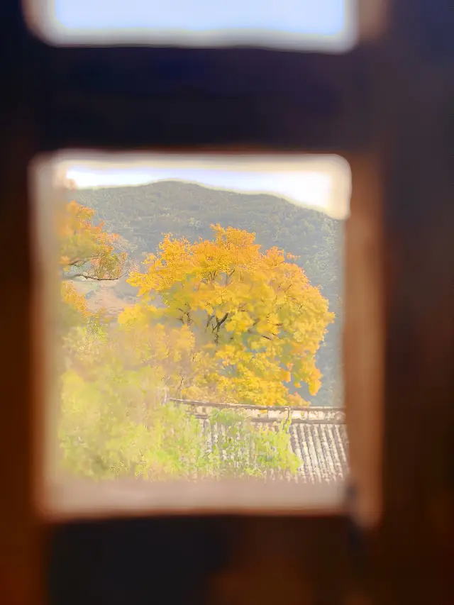 시간에 잊혀진 천년 백족 마을이 있습니다