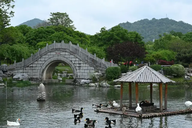 Jiangsu Nanjing Lovers' Park | Treasure Park within a Park