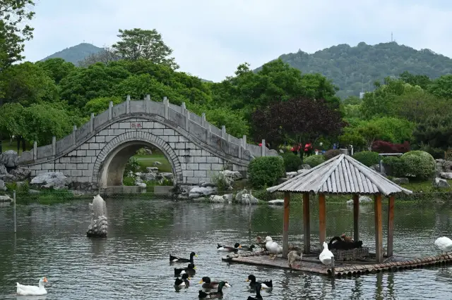 강소 난징 연인원 | 보물원 중앙원