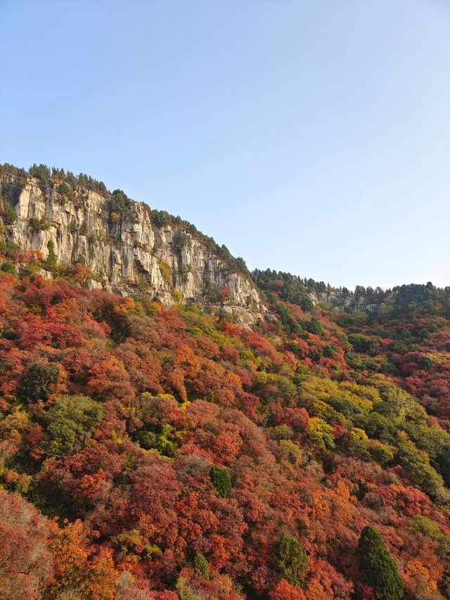 臨朐石門坊：千年古韻，紅葉仙境