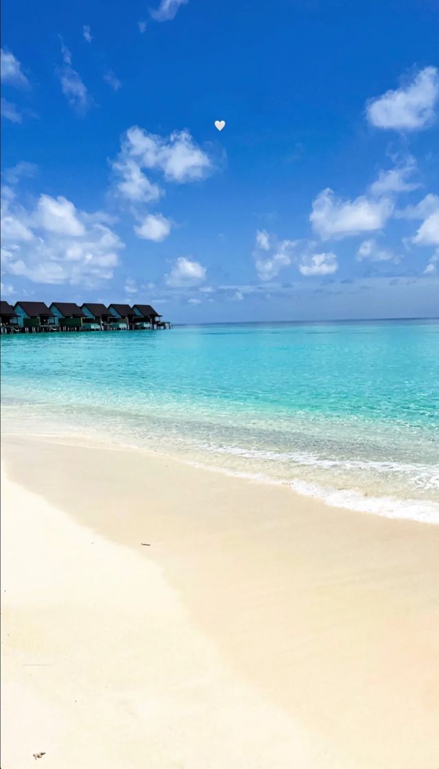 馬代盲選海島酒店 成功