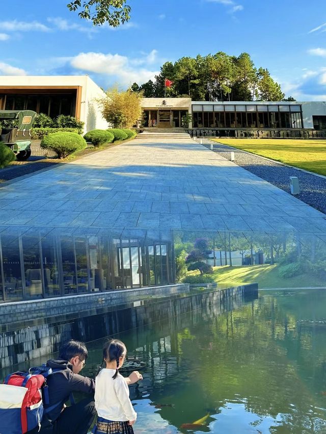 真不在新西蘭在廣東推開門即是山林雲海