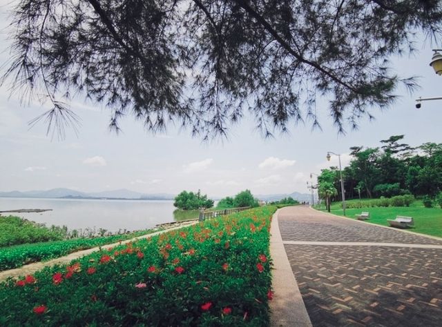 深圳灣公園：海濱美景與文化景觀的完美融合