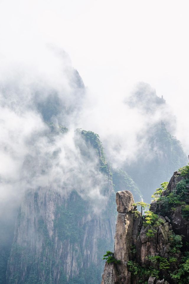 安徽｜黃山雲海