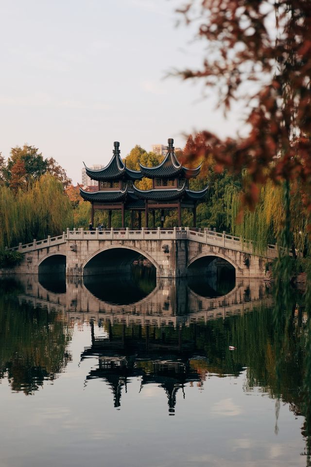 發現上海｜奉賢古華園，這裡的紅葉也很美