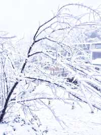 翘班只為去看雪中的廬山，這個雪中童話世界
