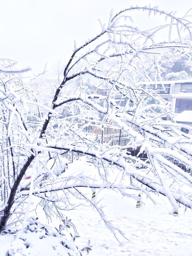 翘班只為去看雪中的廬山，這個雪中童話世界