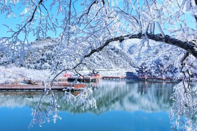 永州雙牌陽明山｜霧淞美如仙境，雲霧繚繞間散發出神秘而寧靜