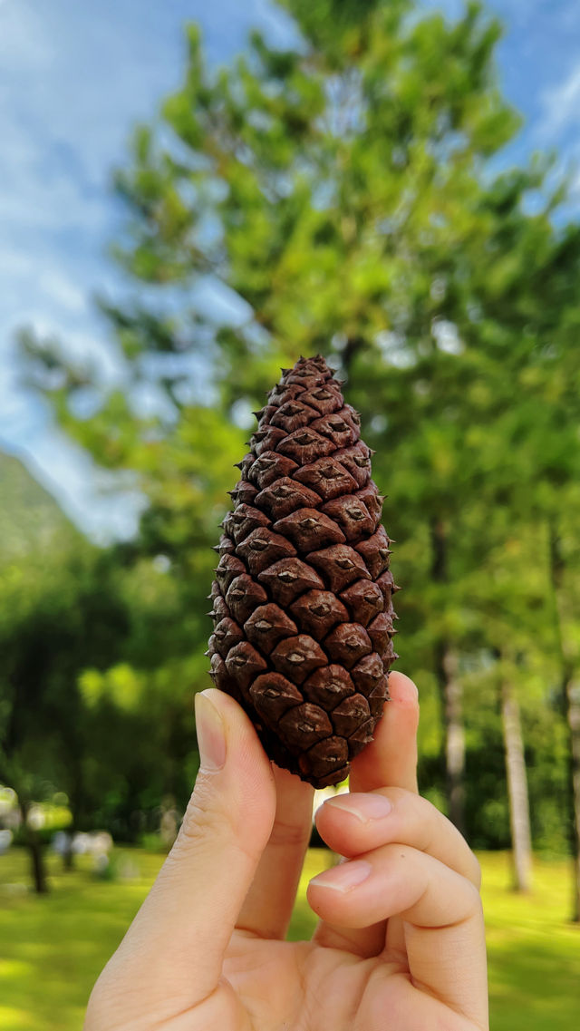 來大山裡呼吸新鮮空氣