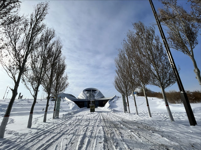 踏雪尋覓哈爾濱大劇院