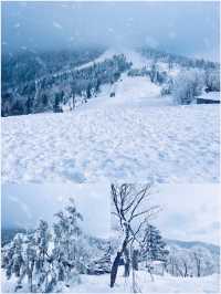 大型光影舞台滑雪體驗機微縮冰雪景觀