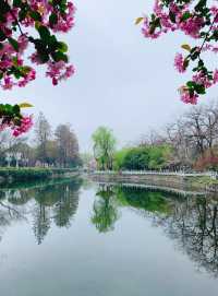 棠湖公園——一處讓人流連忘返的旅遊勝地