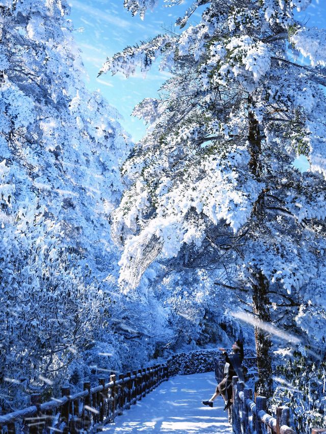 不是北海道去不起，而是成都3h看雪更性價比