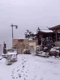 2024年的第一場雪，我在雨印茶坪看的