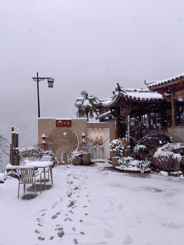 2024年的第一場雪，我在雨印茶坪看的