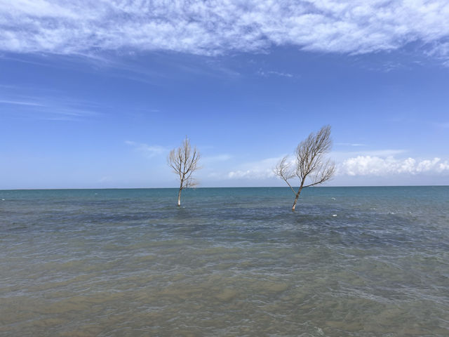 青海小環線