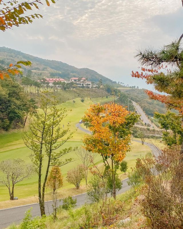 제 키와 체구상 파워 J라는 별명을 가진 저는 보통 계획 없이 움직이는 것을 좋아하지 않습니다.