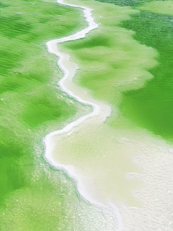 Dreamy Salt Lake - Chaka | Trip.com Golmud