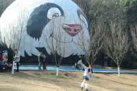 南京紅山動物園旅遊攻略