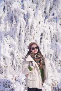 吉林白山靖宇，雪谷市集太好玩了