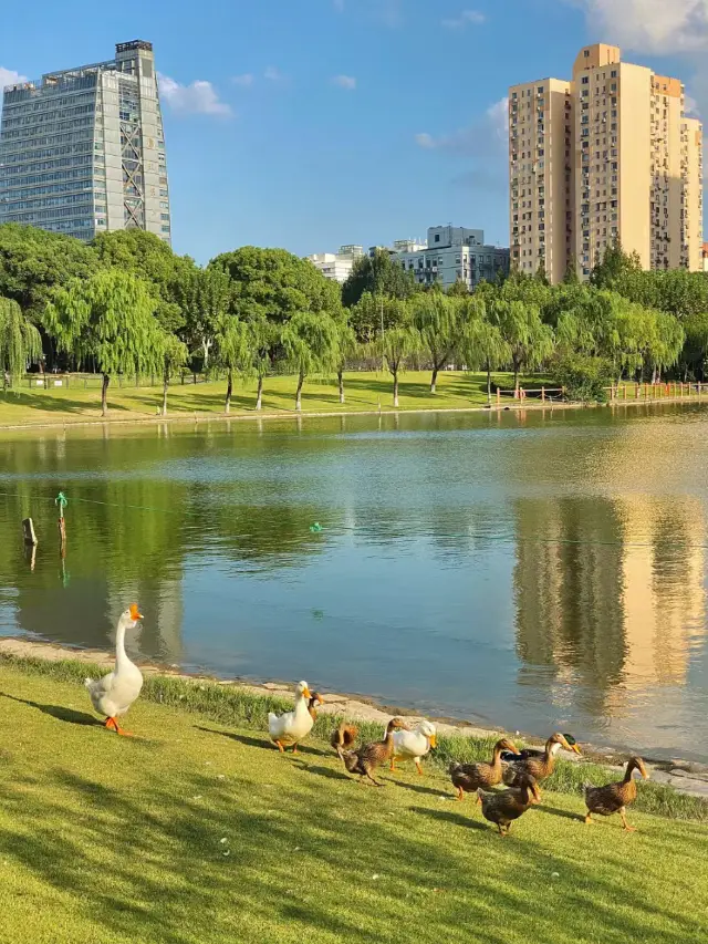 Winter Outdoors·Freedom Light·Huangxing Park