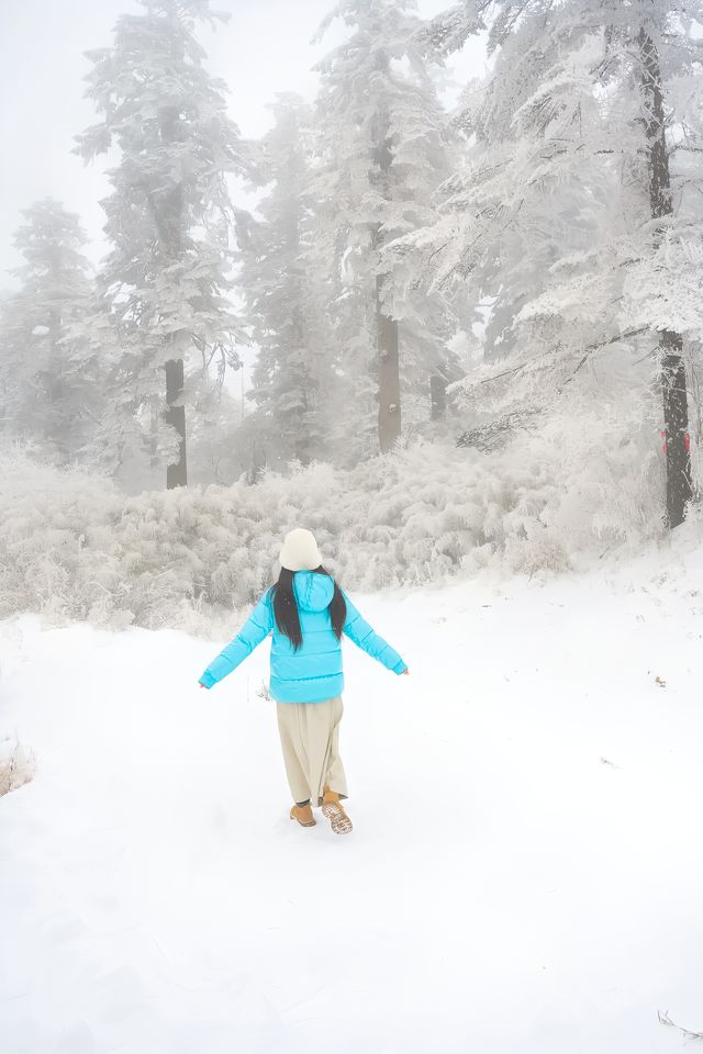 瓦屋山！我願稱之為川內1天往返玩雪天花板！