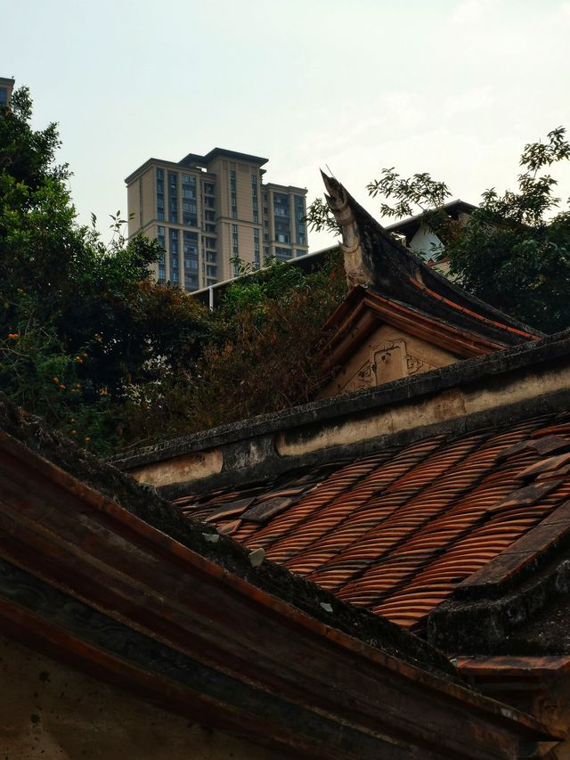 漸行漸美——走進全國文明村“漸美村”