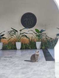 普洱天竿箐村的一家民宿