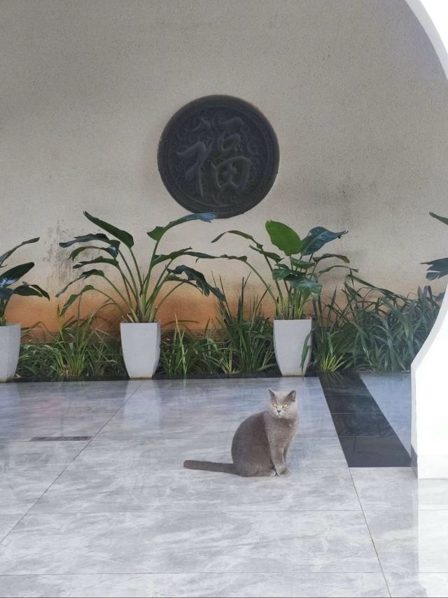 普洱天竿箐村的一家民宿 普洱天竿箐村的一家民宿