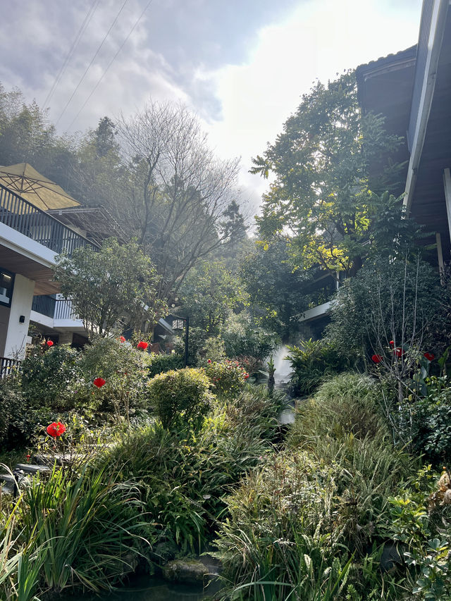 漳州｜雲水謠景區內世外桃源般的酒店～