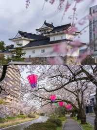 富山之旅：探索年輕之美與璀璨風景