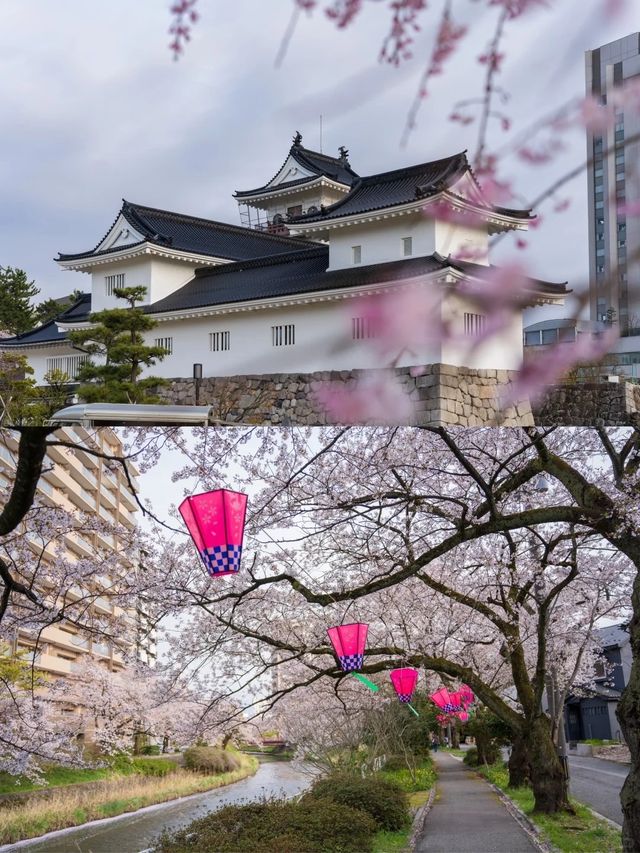 富山之旅：探索年輕之美與璀璨風景