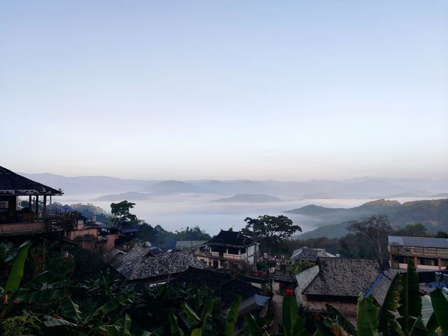 終於來到了隱秘的景邁山，免費世界非遺景點!