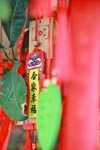 旅行 || 被遺忘在文山西華公園的岩牆裡的三元寺