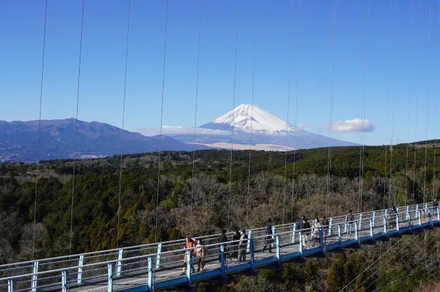 Strolling through the air, admiring Mount Fuji