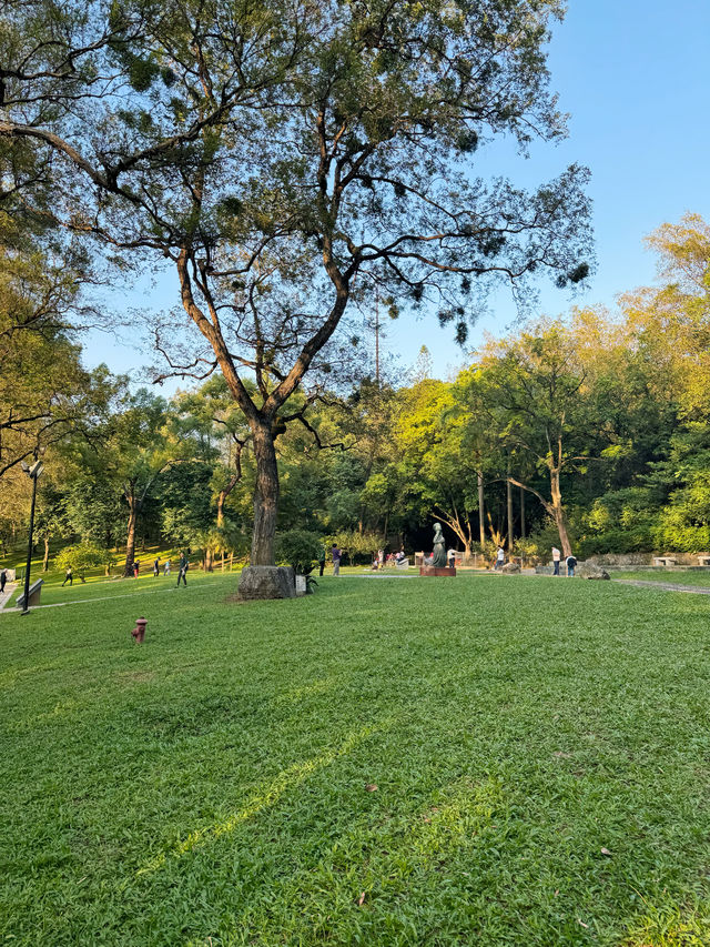 白雲山小眾徒步輕鬆路線，遇見了絕美風景