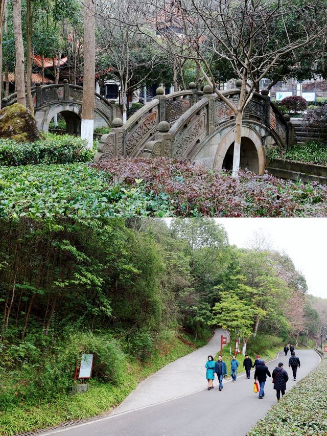 親近自然於德陽最大的郊野公園東湖山公園