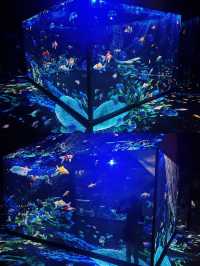 裸眼3D+互動玩樂=超級時空魔方