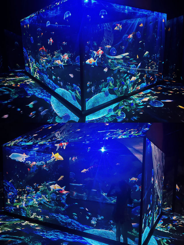 裸眼3D+互動玩樂=超級時空魔方