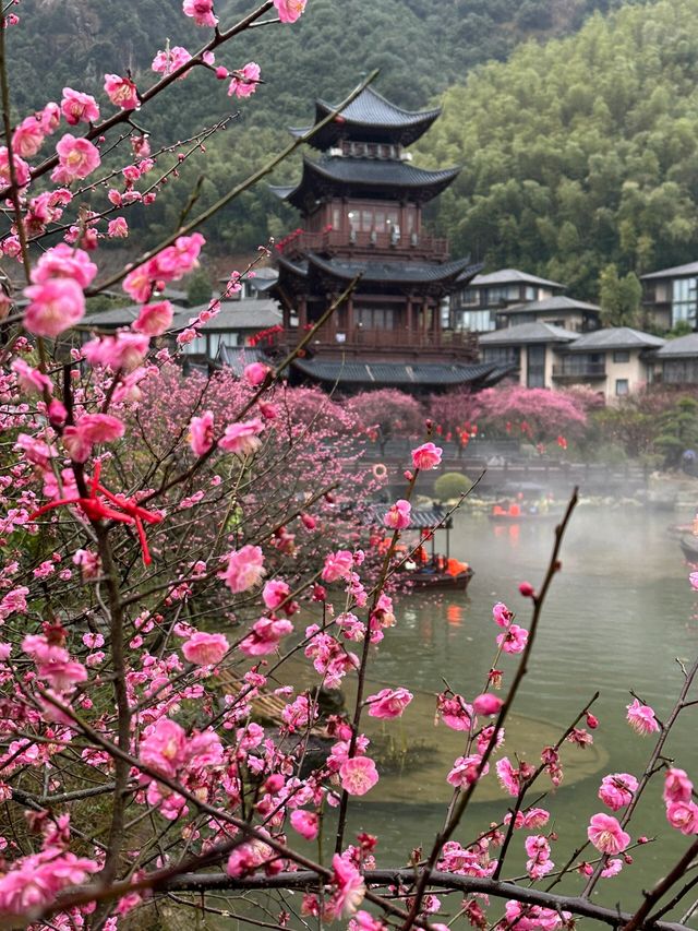 葛仙村｜“來這兒過幾天神仙生活”真的嗎