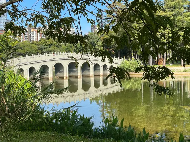 In the bustling district of Shenzhen, there lies a Jiangnan-style garden